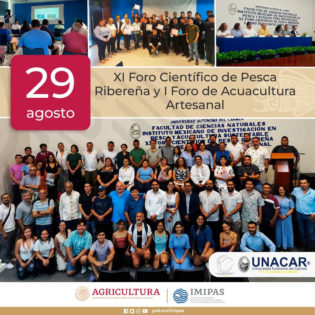 Comunidad